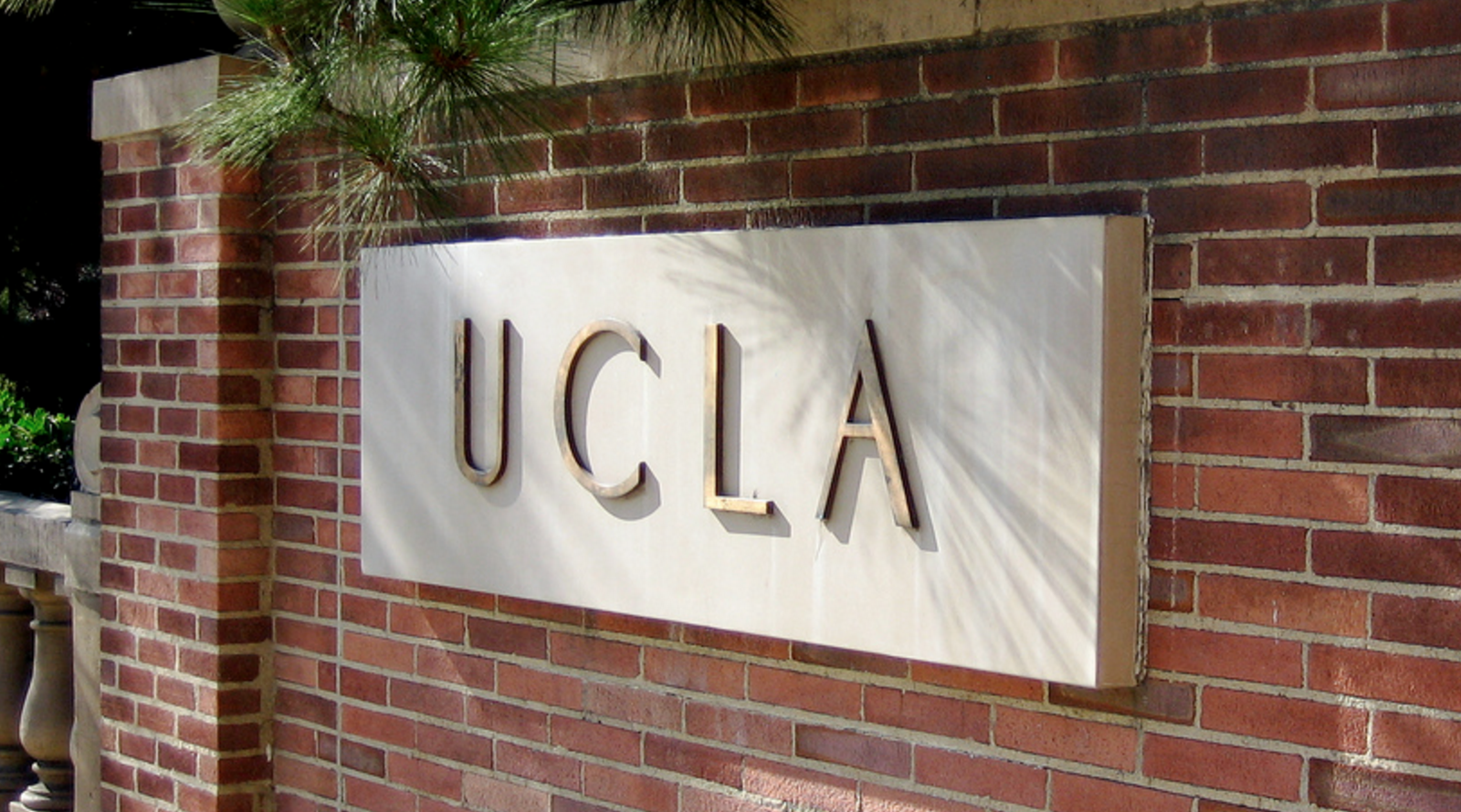 At UCLA, Young Adults With Autism Build Social Skills