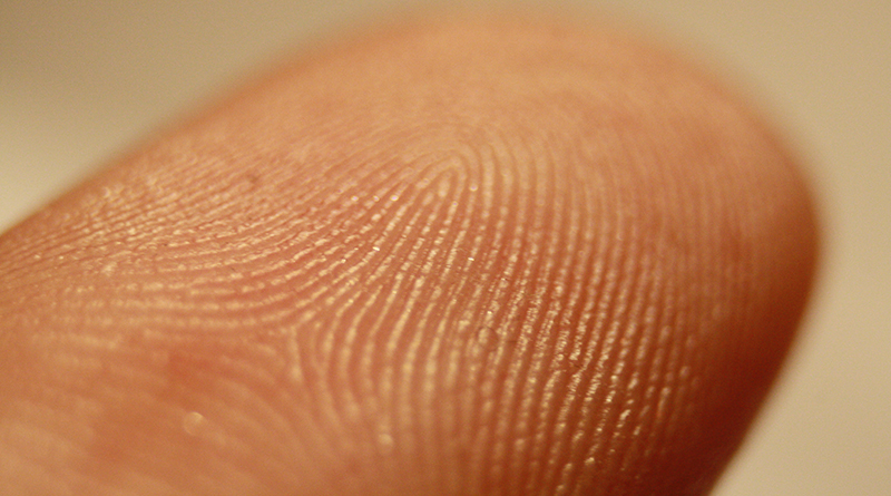 Fingerprint Detail On Male Finger