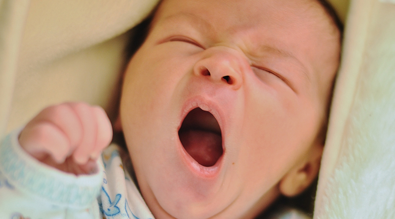 Study Explores Neural Basis Of Yawning To Help People With Tourette’s Syndrome