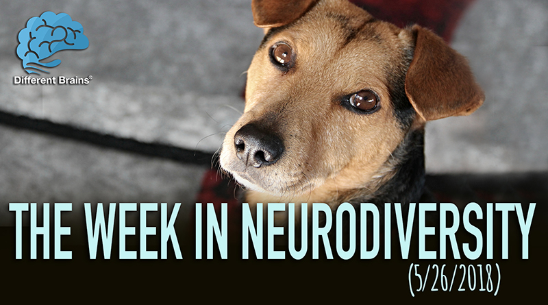 How Dogs In Chile Are Helping Kids With Autism At The Dentist – Week In Neurodiversity