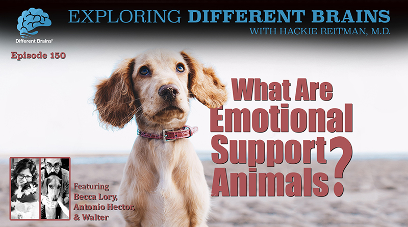What Are Emotional Support Animals? With Becca Lory & Friends | EDB 150