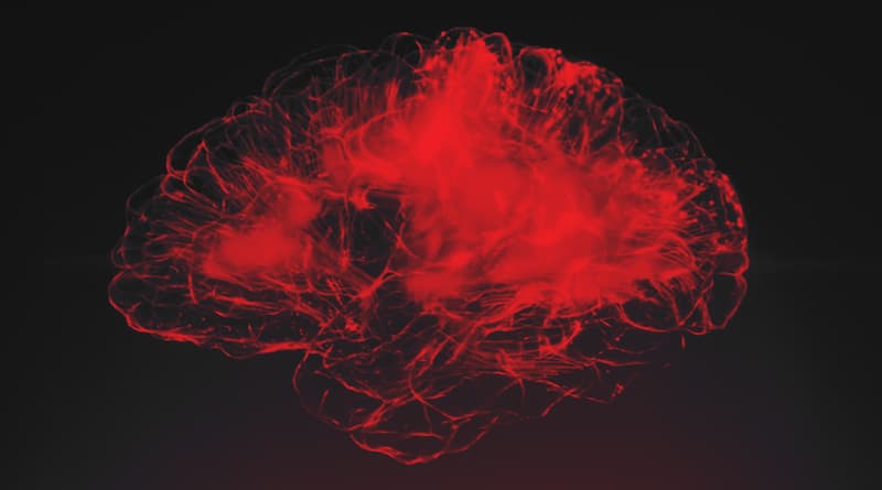New Alzheimer’s Study Explores Neuroinflammation And How To Possibly Prevent It Squoosh