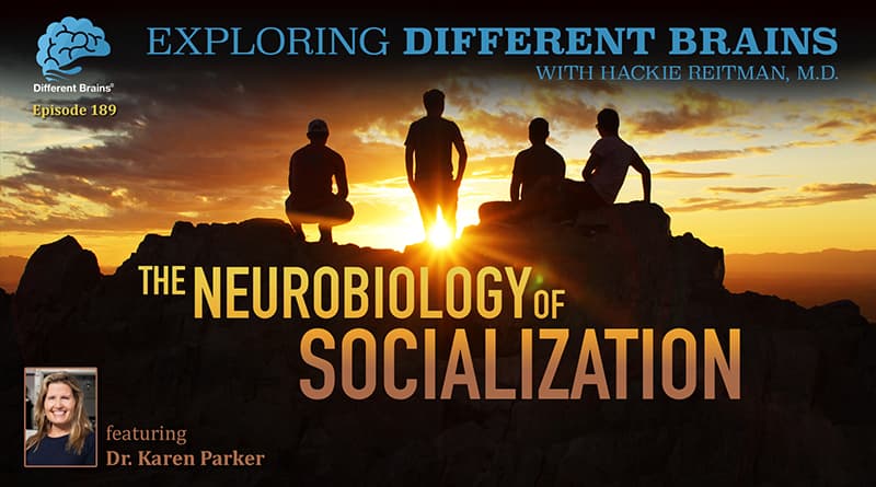 Cover Image - The Neurobiology Of Socialization, With Stanford University’s Dr. Karen Parker