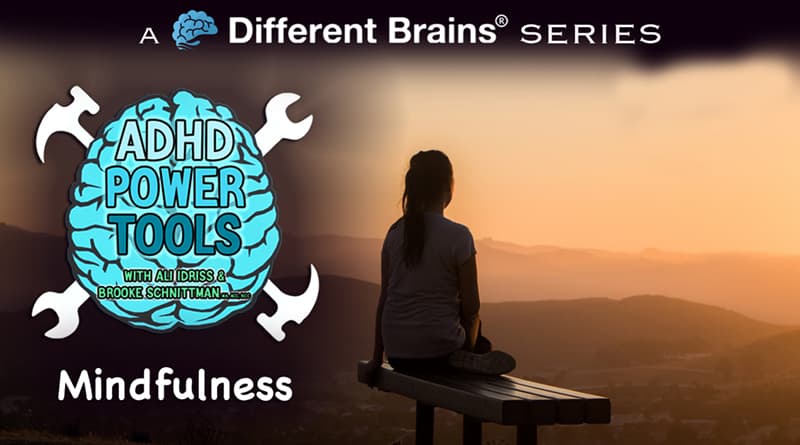 Mindfulness | ADHD Power Tools W/ Ali Idriss & Brooke Schnittman