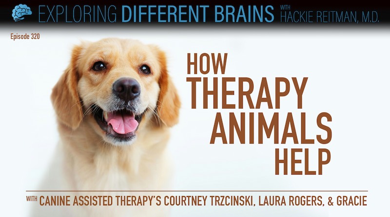 Cover Image - How Therapy Animals Help, With Canine Assisted Therapy's Courtney Trzcinski, Laura Rogers & Gracie | EDB 320
