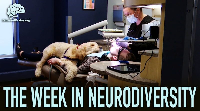How A Dog Is Reducing Anxiety At The Dentist’s Office | Week In Neurodiversity