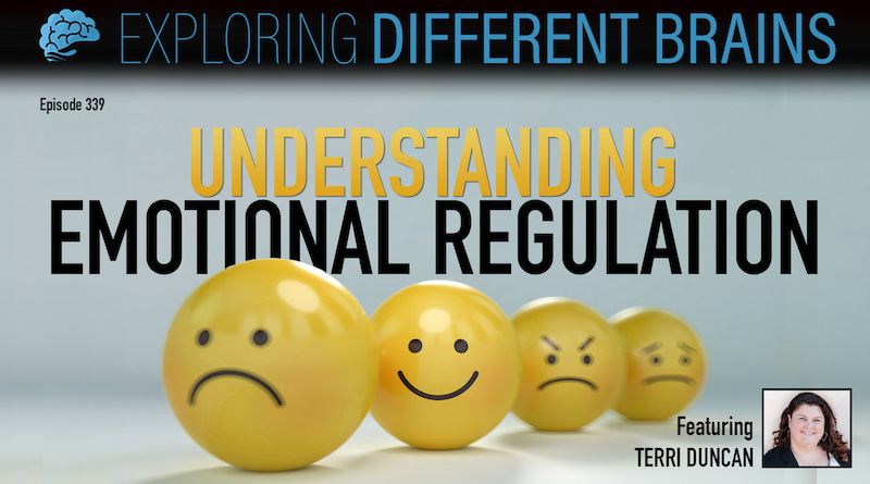 Four emojis show sad, happy, angry, and neutral facial expressions under the words "Understanding Emotional Regulation"